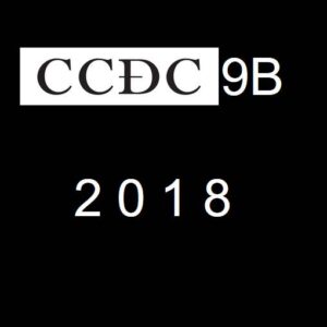 CCDC 9B - 2018 Statutory Declaration of Progress Payment Distribution by Subcontractor